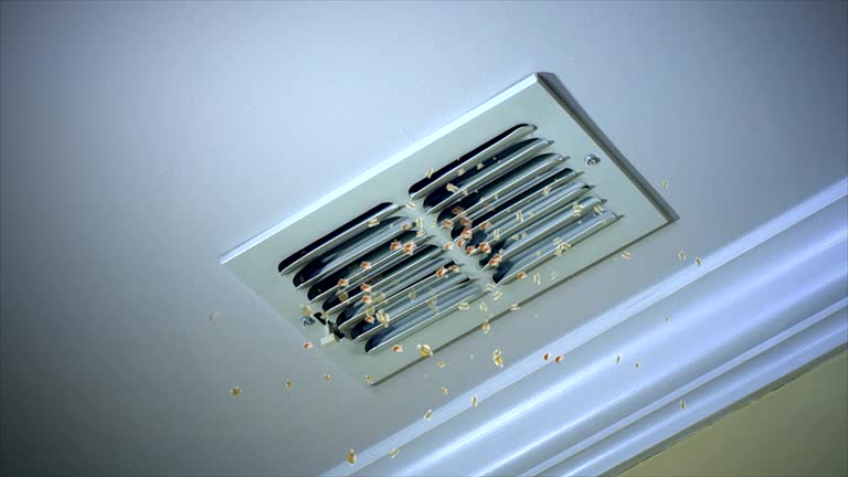 Best HVAC System Cleaning  in Airport, CA