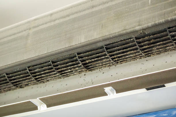 Best Affordable Air Duct Cleaning  in Airport, CA